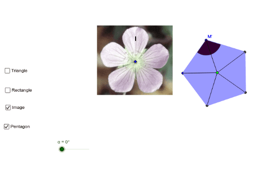 Octagon - Rotational Symmetry – GeoGebra