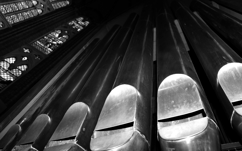 [url=https://remote.rsccd.edu/en/liturgical-organ-pipe-organ-reeds-811168/,DanaInfo=pixabay.com,SSL+]"Organ"[/url] by Sebastiano_Rizzardo  is in the [url=https://remote.rsccd.edu/publicdomain/zero/1.0/,DanaInfo=creativecommons.org+]Public Domain, CC0[/url]