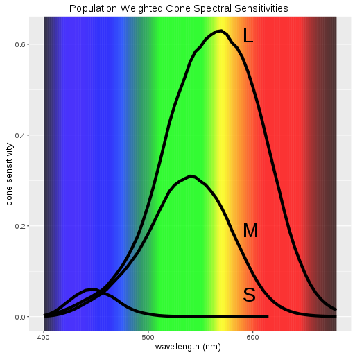 Retinal Absorption