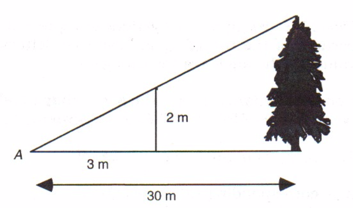 Similar triangles