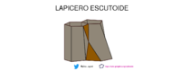 LAPICERO ESCUTOIDE (FOTOGEBRA).pdf