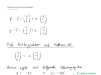 Prüfung auf identische Geraden.pdf