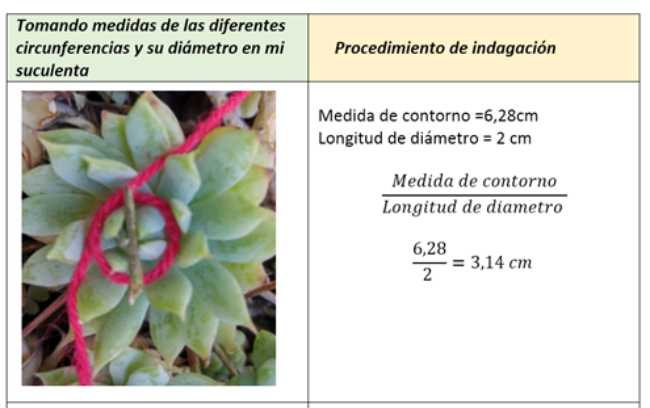 Resolución Algebraica 