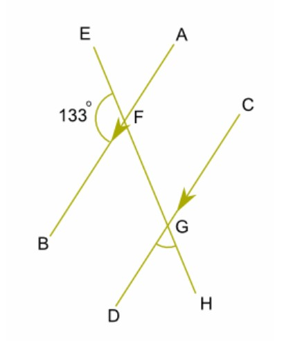 Study the diagram below and answer the following question.