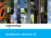 Spiekboek-rekenen-2F.pdf