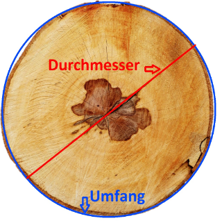 Baumscheibe