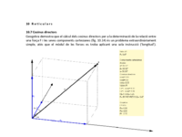 10.7 Cosinus directors.pdf