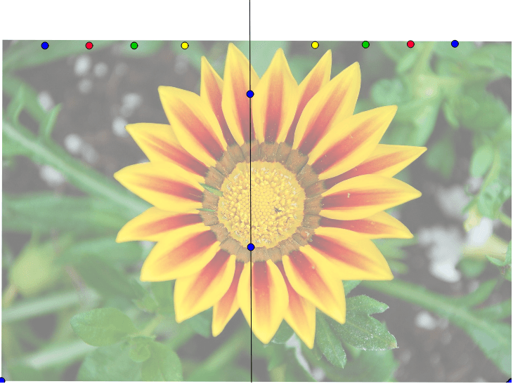 Flower Symmetry – GeoGebra