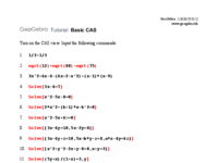 16_Basic CAS.pdf