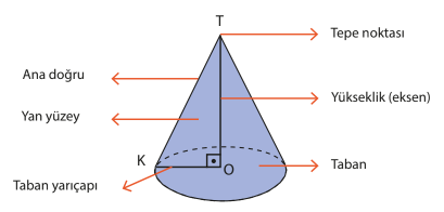[size=150]Bir üçgensel bölgenin dik kenarlarından biri etrafında 360 derece döndürülmesiyle dik koni oluşur. 
Dik koninin tabanı, tepe noktası, yüksekliği (eksen), ana doğrusu ve yan yüzeyi yukarıdaki model üzerinde gösterilmiştir.

Bu etkinlikte dik koninin sürgüler ile birlikte yarıçap ve yüksekliklerinde meydana gelen değişimlerin, dik koninin açılımına etkisini inceleyeceğiz.[/size]