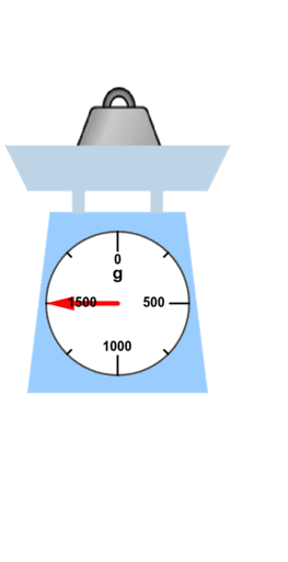 P.3 Using a Weighing Scale to Weigh Objects (English Version) Self ...