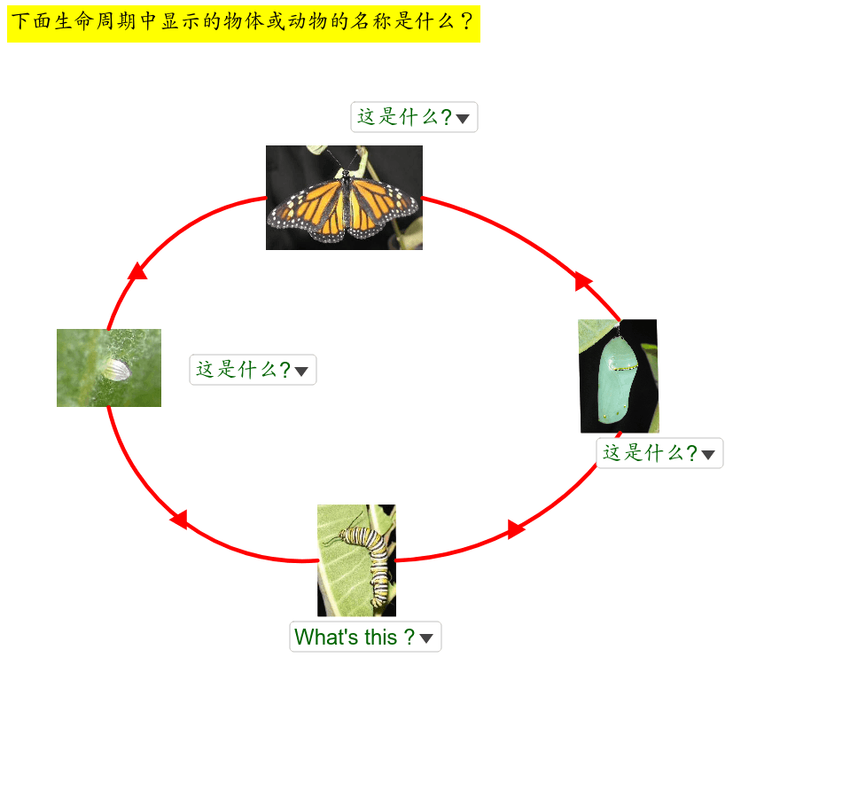 lifecycle-quiz-1-how-to-convert-to-chinese-text-geogebra