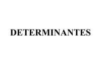 02 DETERMINANTES.pdf