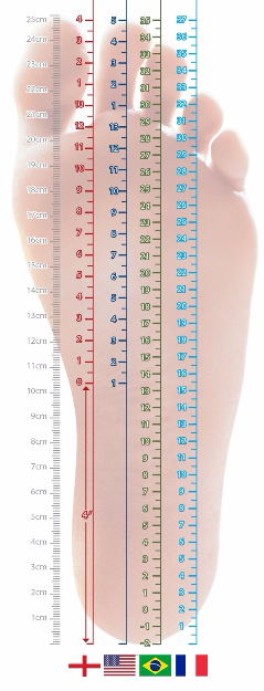 [justify][size=85]Figura 1: Relação entre tamanho do pé e tamanho do calçado. [b]Fonte:[/b] [url=https://goo.gl/0DpX7G]https://goo.gl/0DpX7G[/url]. Acesso em: 26 mai. 2017.[/size][/justify]