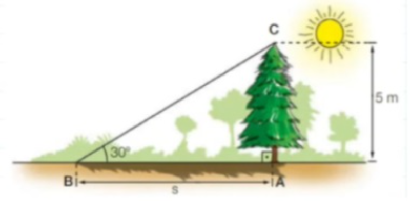 Questão 02 - Comprimento da sombra de uma arvore.