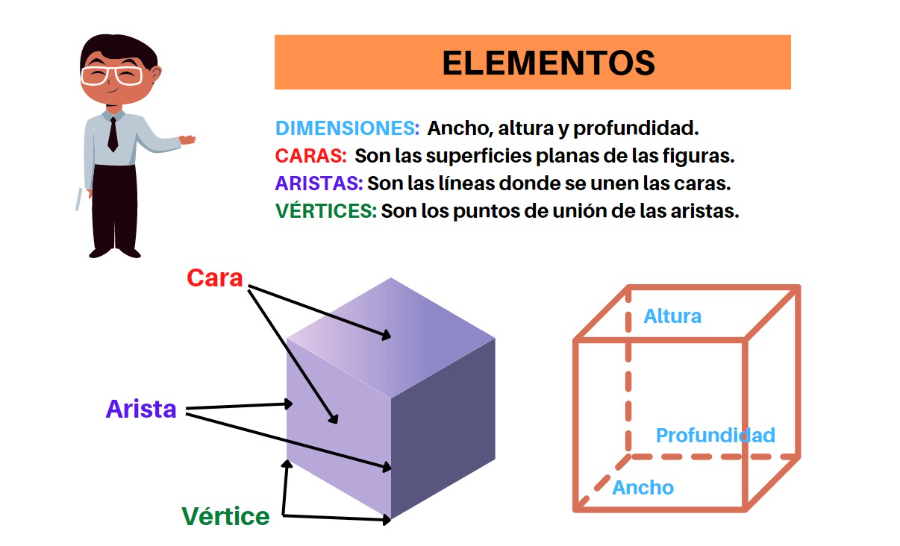 [b]NOTA:[/b] La cara plana de un cuerpo geométrico puede ser denominada base.