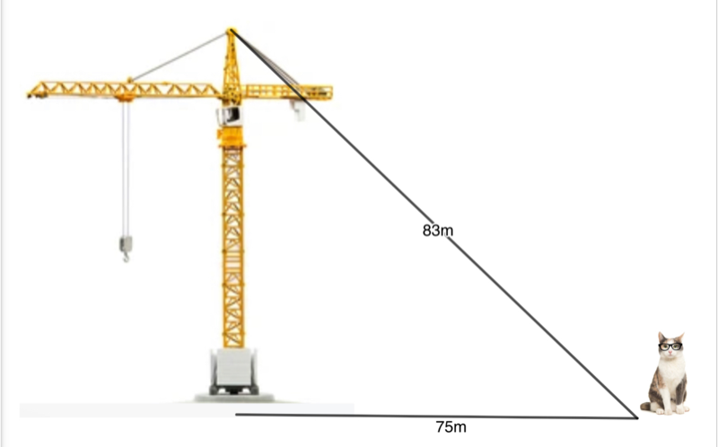 PROBLEMA 1: Mi gato Honorato necesita gafas para poder ver la punta de la grúa. Se encuentra a 75 m. de ella y la mira desde 83 m.