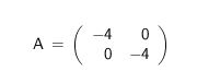 scalar matrix of order 2.