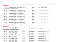 propriete-de-pythagore-utilisation-de-la-calculatrice-exercices.pdf