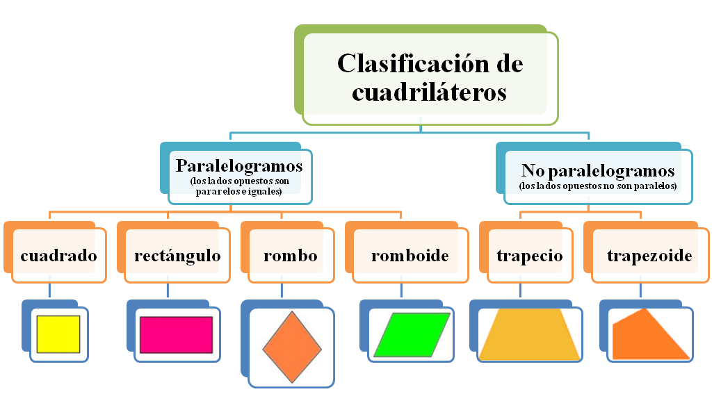 clasificación de los cuadriláteros.