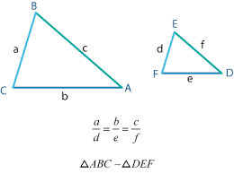 Ejemplo de proporcionalidad