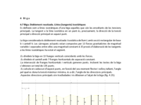 4.7 Biga. Doblement recolzada. Línies (tangents) isostàtiques.pdf