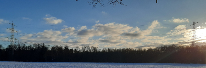 Haben Stromleitungen im Sommer eine andere Form als im Winter?