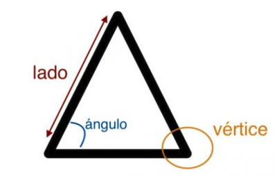 Cómo estudiar el triángulo