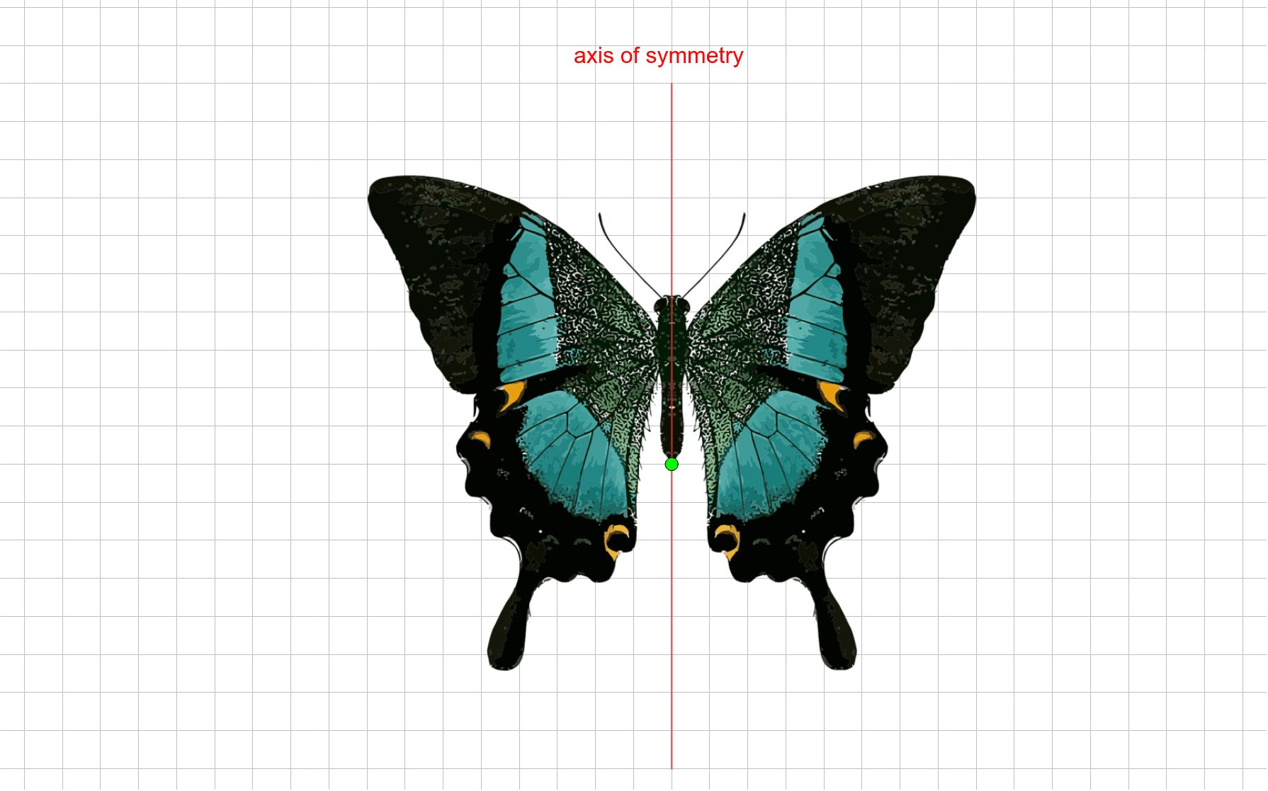 butterfly symmetry – GeoGebra