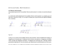 21.3 Warren amb muntants.pdf