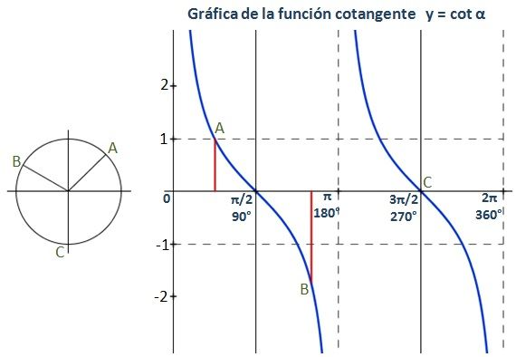 Representación gráfica de la función cotangente en el intervalo [0;2π]