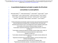 a quantitative_compressed.pdf