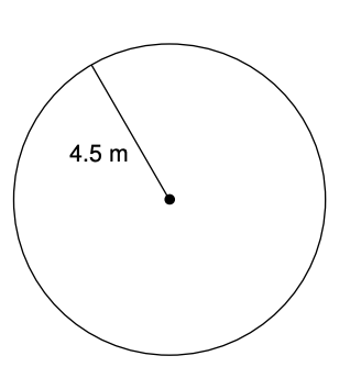 Find the circumference of this circle.  