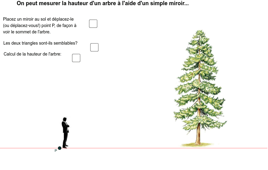 Mesurer la hauteur de l'arbre