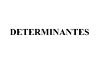 03 DETERMINANTES.pdf