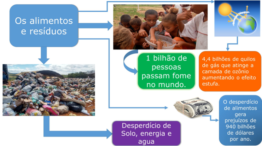 [size=100][center][b]Fonte: [/b]Organização das Nações Unidas para a alimentação e a agricultura.[/center][/size]