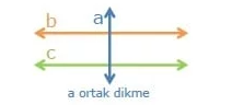 5) İki doğru birbirine paralel olur ve üçüncü doğru bunları dik keser. Buradaki kesen doğru diğer iki doğrunun dikmesi olduğu için bu doğruya “Ortak Dikme” adı verilir.